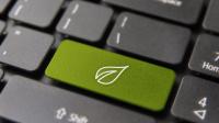 Tastatur med et grønt blad på